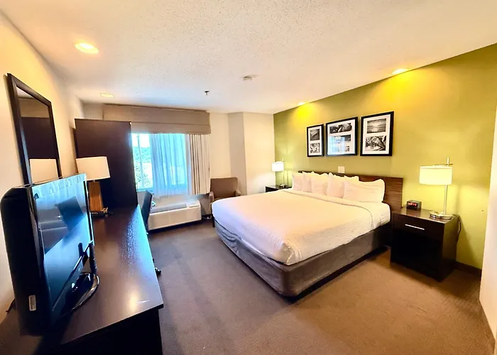 Sleep Inn & Suites Niantic North